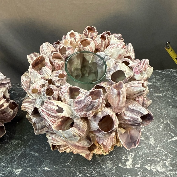 Decorative Barnacle Clusters - Purple and Cream sconces candle holders - Picture 2 of 15